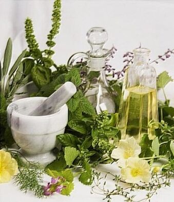 Infusions of medicinal plants for the treatment of varicose veins